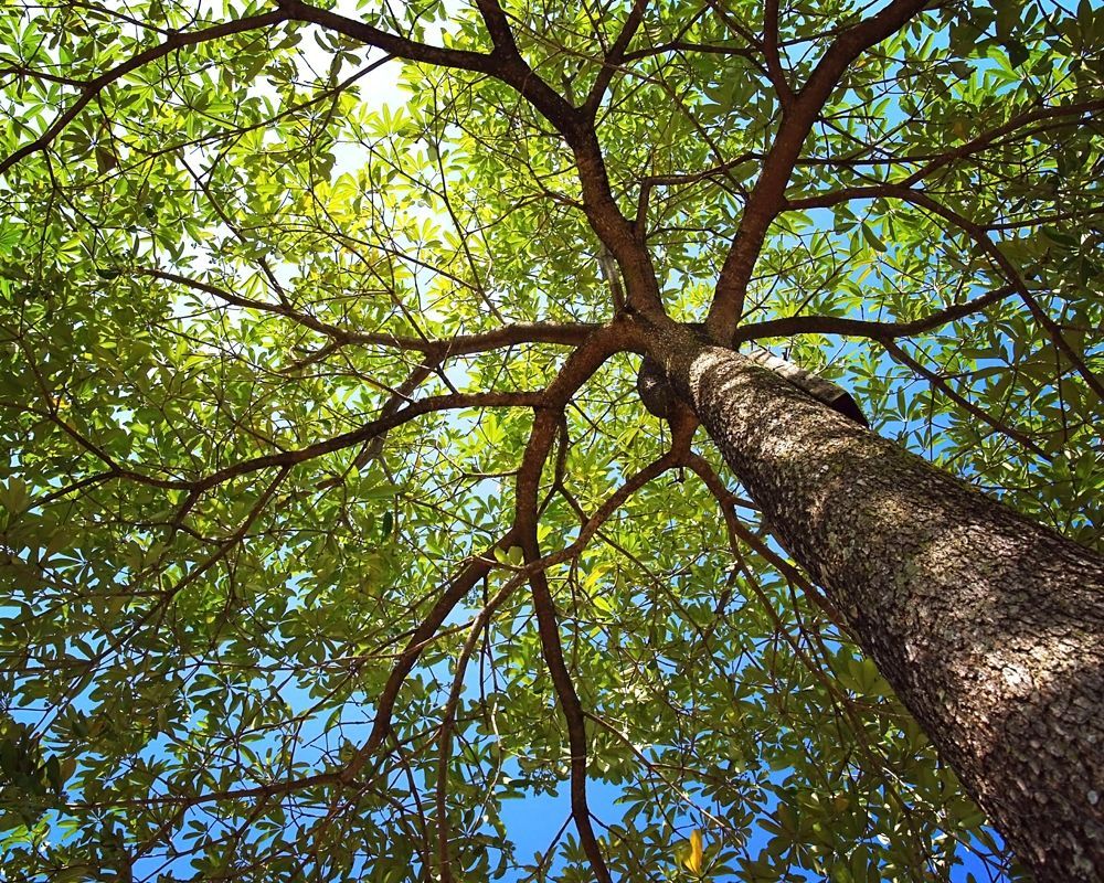 Selbst-bestimmt statt Fremdbestimmt